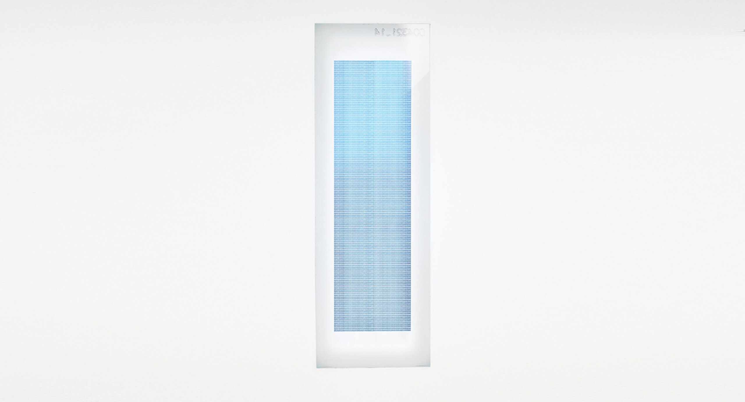 PEPperCHIP® HBV Proteome Microarray