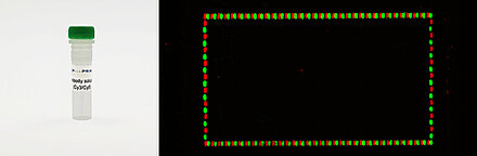 PEPperCHIP® Mouse Monoclonal anti-HA (12CA5)-Cy5 Control Antibody