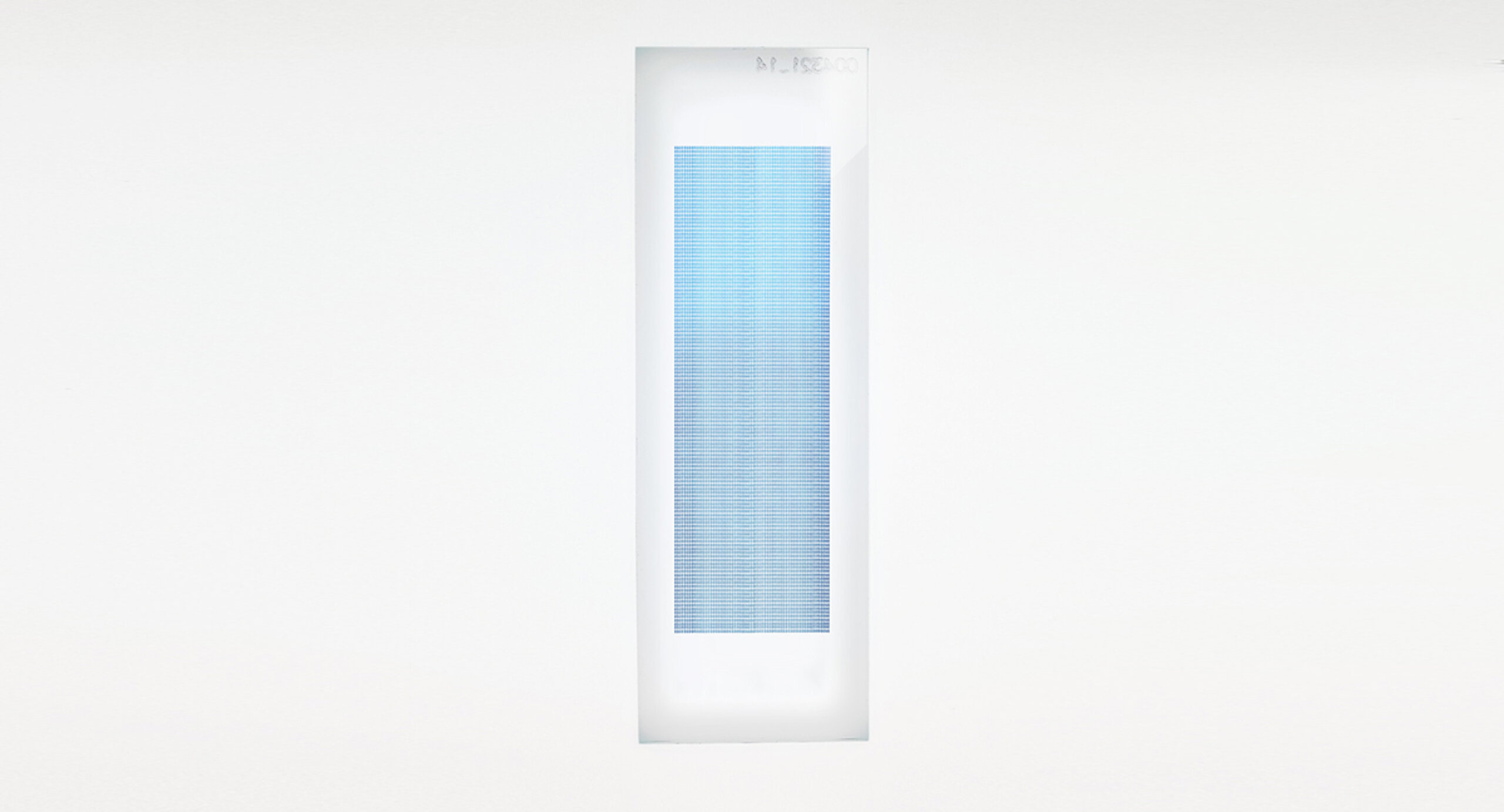 PEPperCHIP® HCMV Antigen Microarray