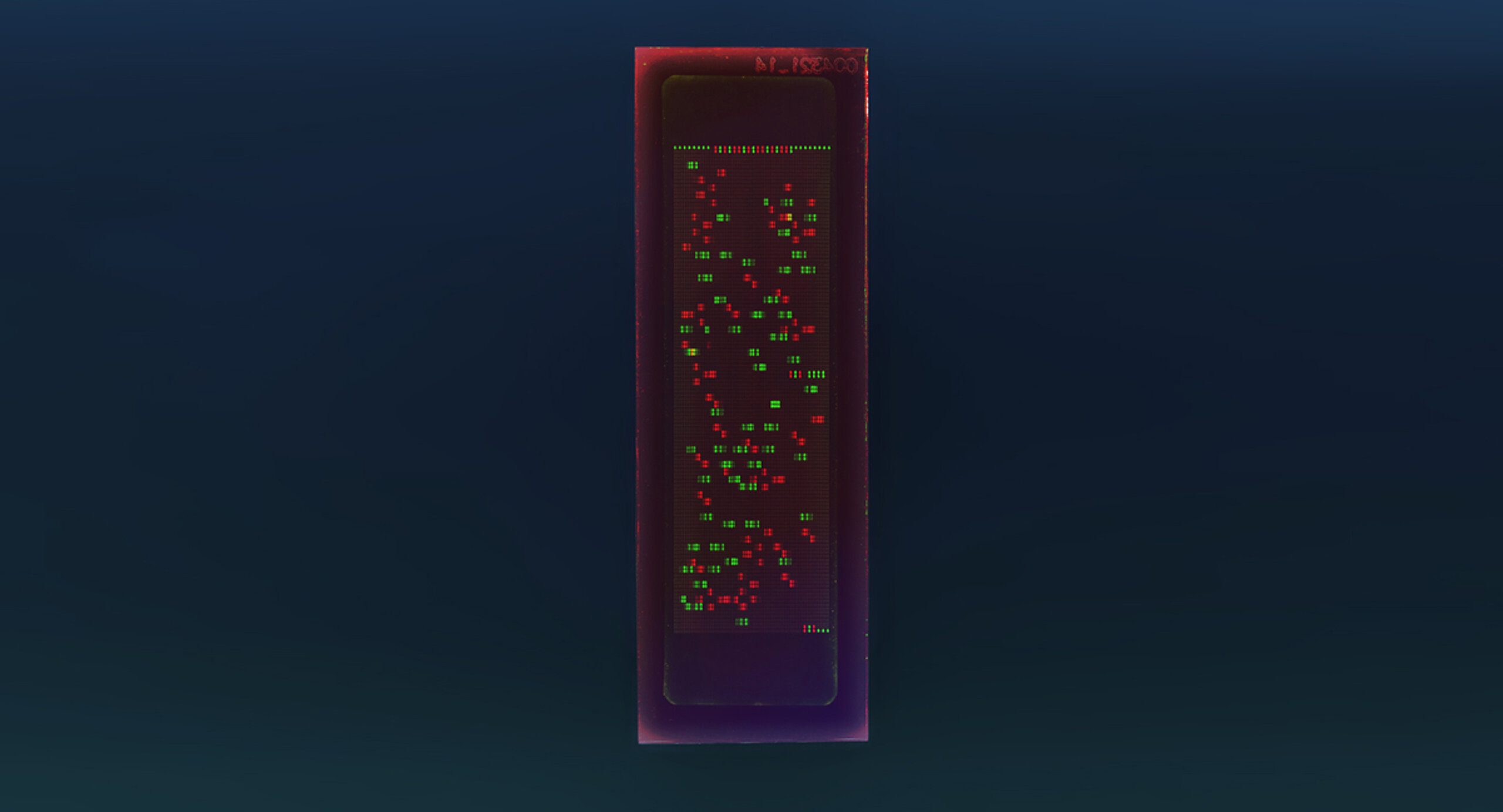 PEPperCHIP® Tumor Antigen Microarray