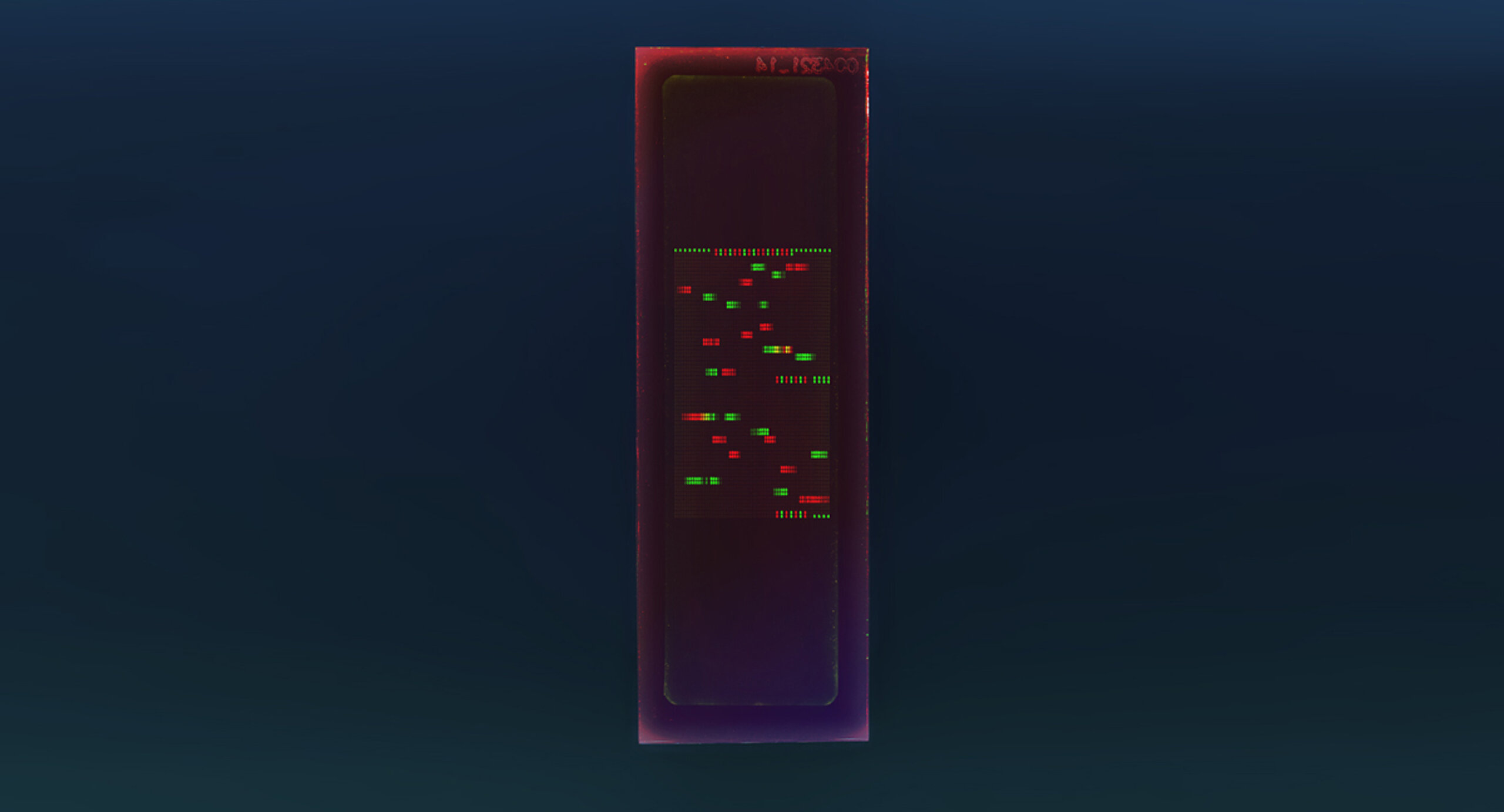 PEPperCHIP® Foot-and-mouth Disease Virus Proteome Microarray