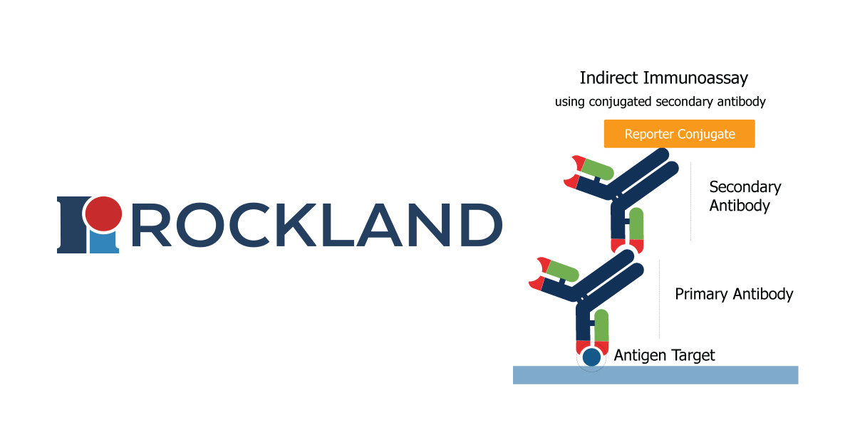 PEPperPRINT Rockland secondary antibodies