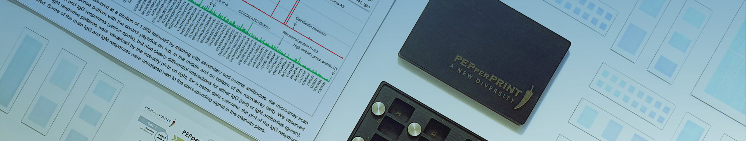 PEPperCHIP® Peptide Microarrays and PEPperMAP® Services