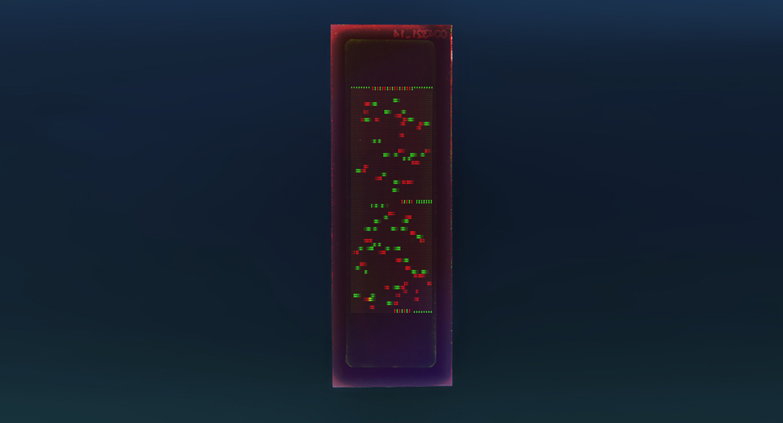 PEPperCHIP® MERS-CoV Proteome Microarray