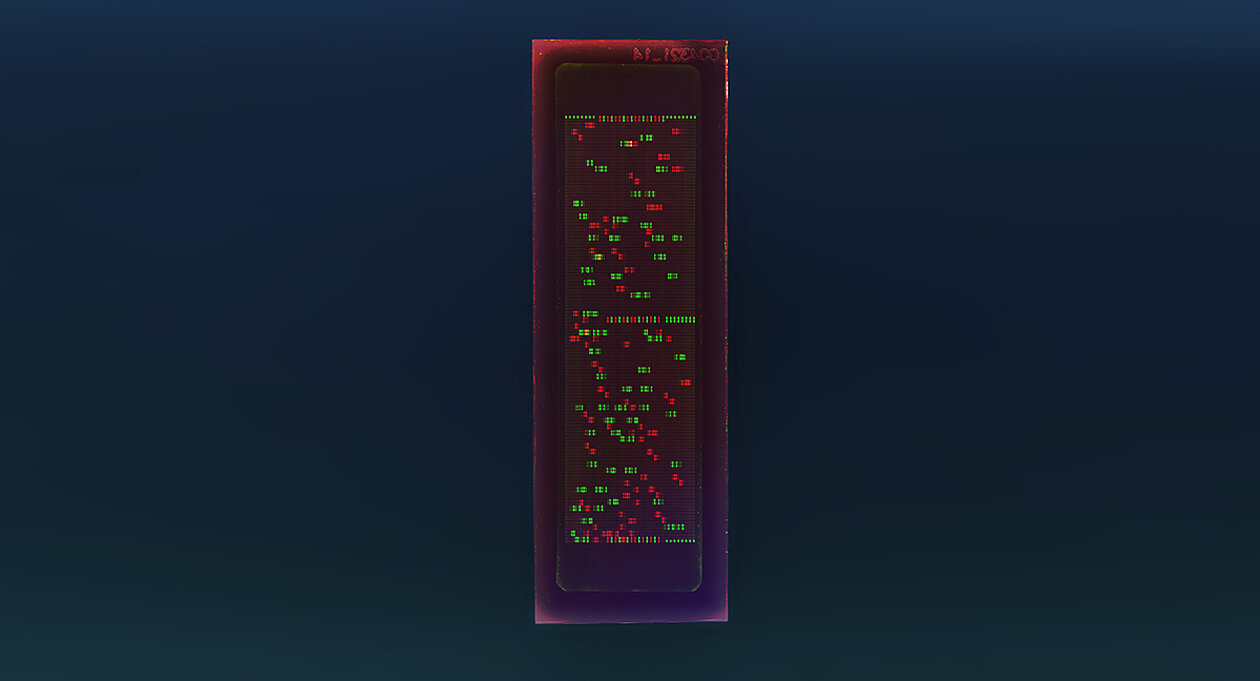 PEPperCHIP® Oncovirus Epitope Microarray PEPperCHIP® Oncovirus Epitope Microarray