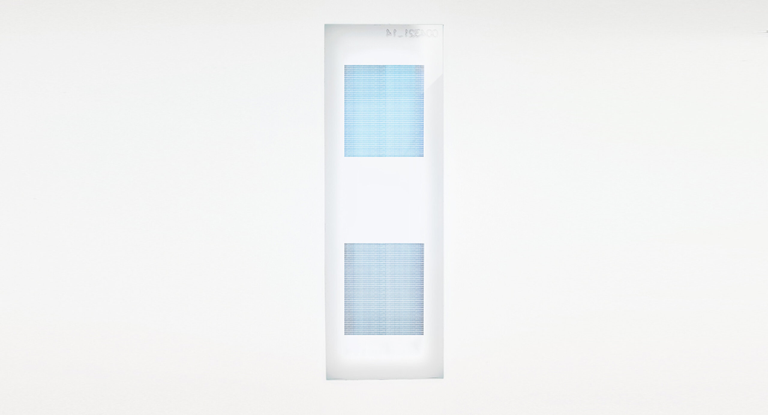 PEPperCHIP® Trypanosoma Brucei Antigen Microarray