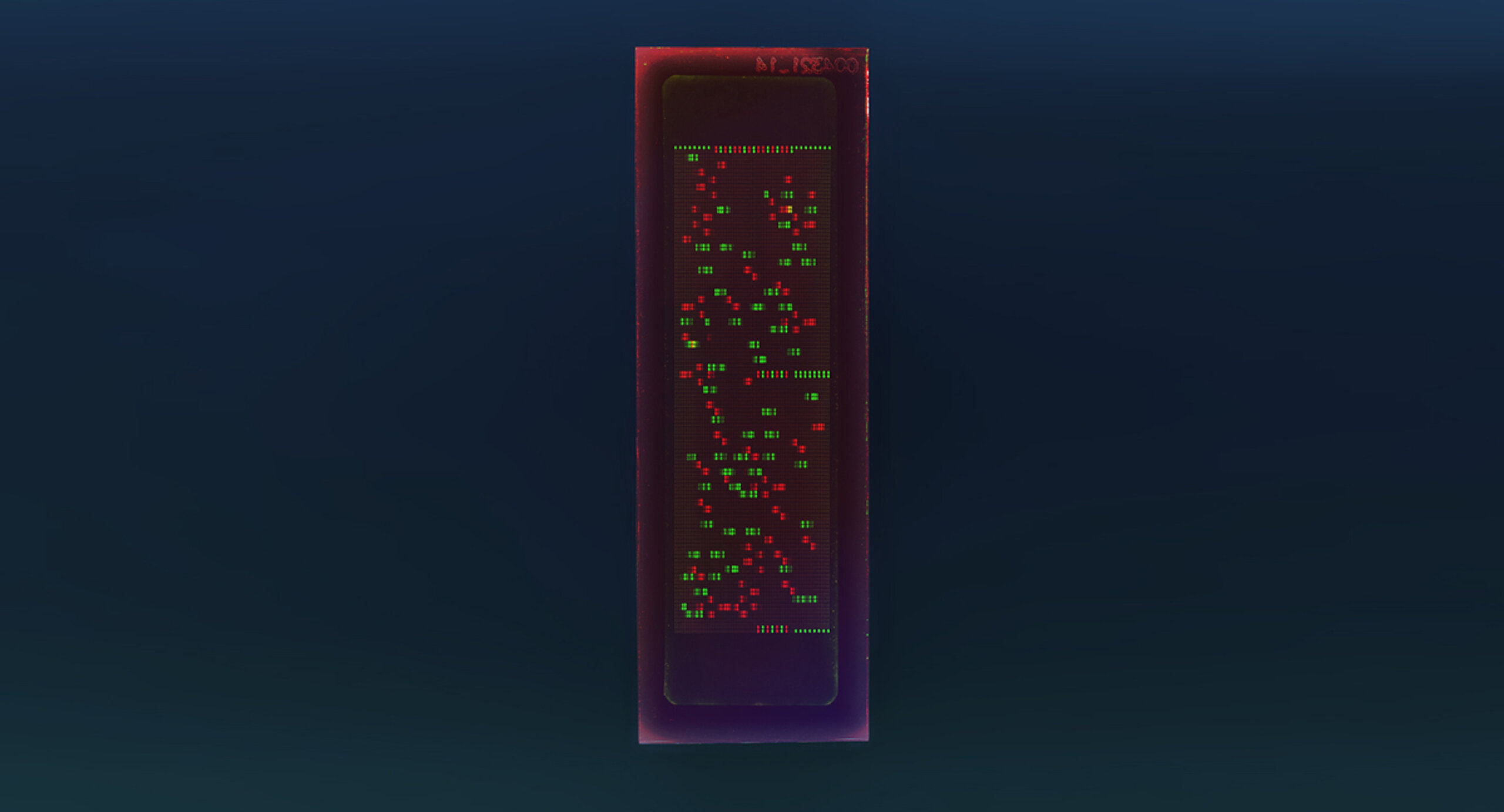 PEPperCHIP® Autoimmune Human Epitope Microarray