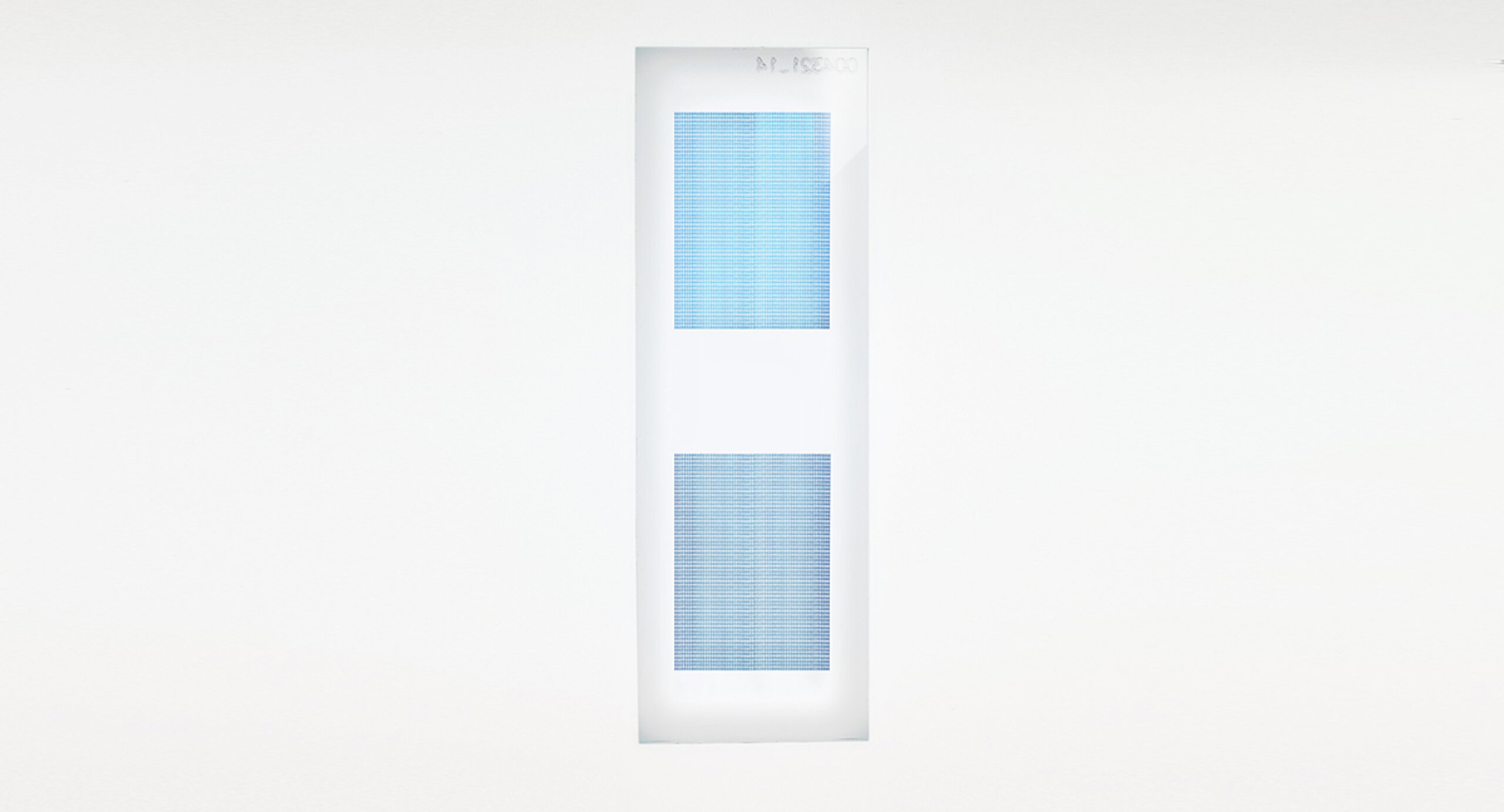 PEPperCHIP® BK Polyomavirus Antigen Microarray