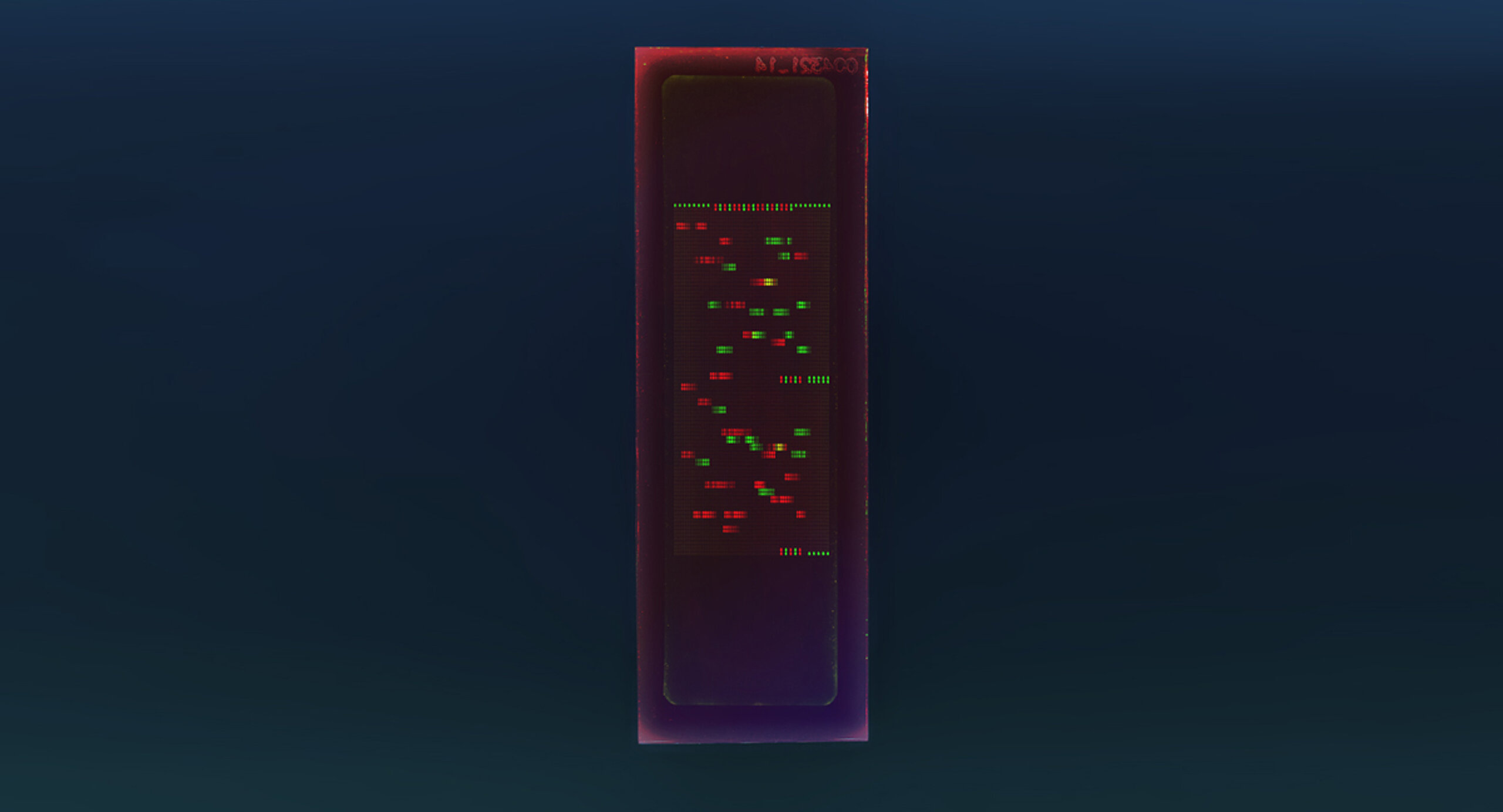 PEPperCHIP® HCV Proteome Microarray