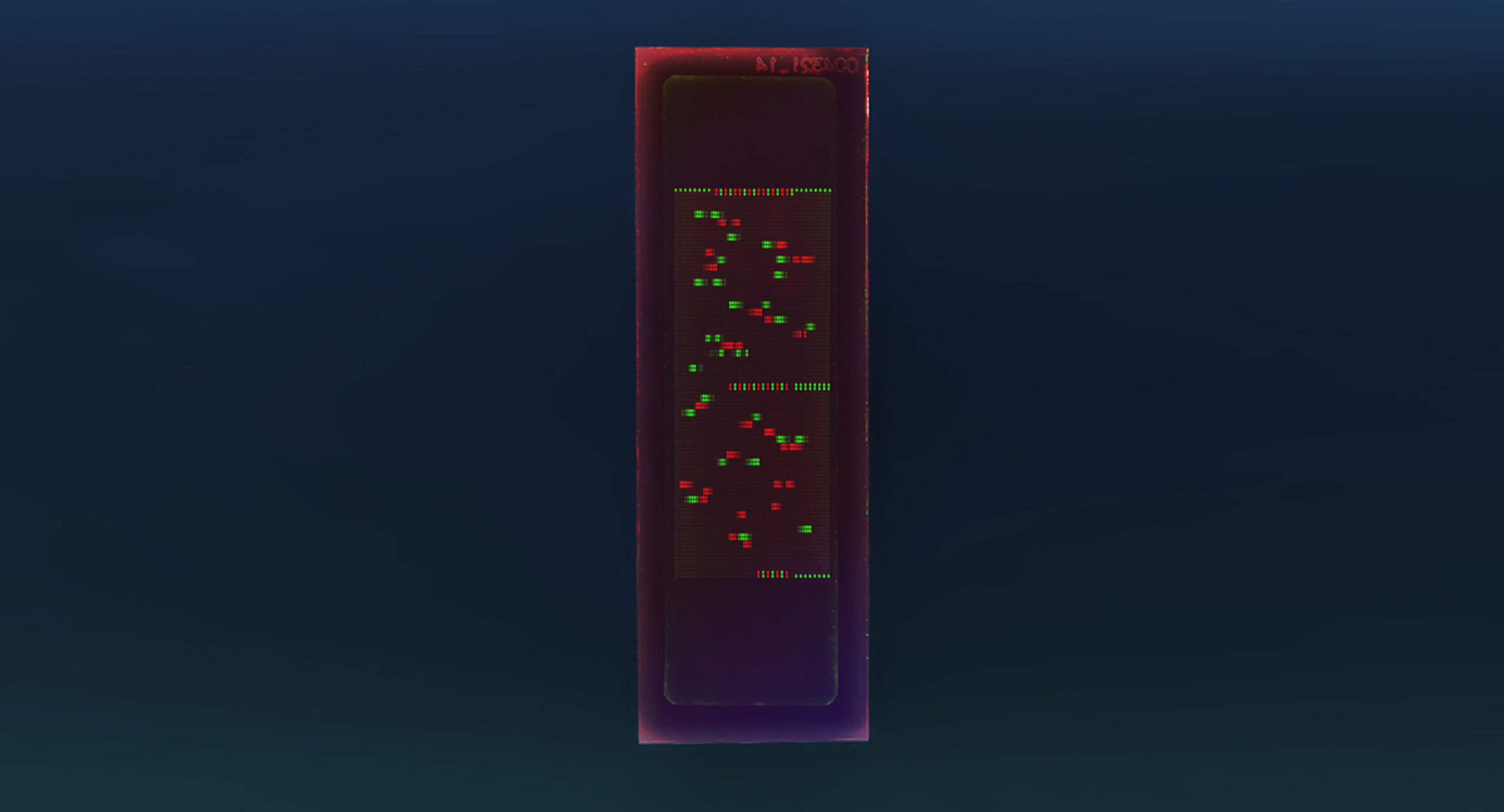 PEPperCHIP® Dengue Virus Type 3 Proteome Microarray