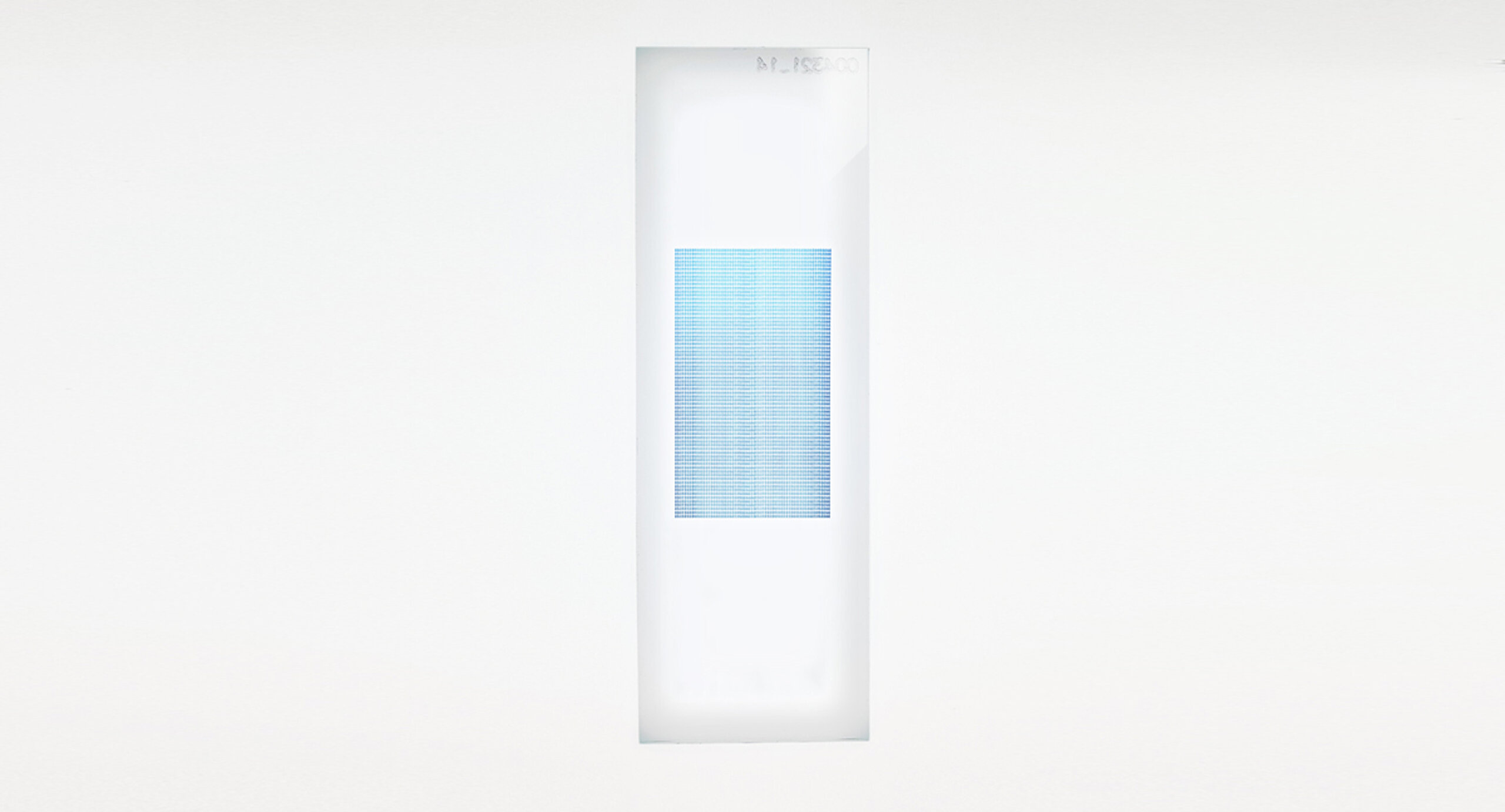 PEPperCHIP® Vaccinia Virus Antigen Microarray