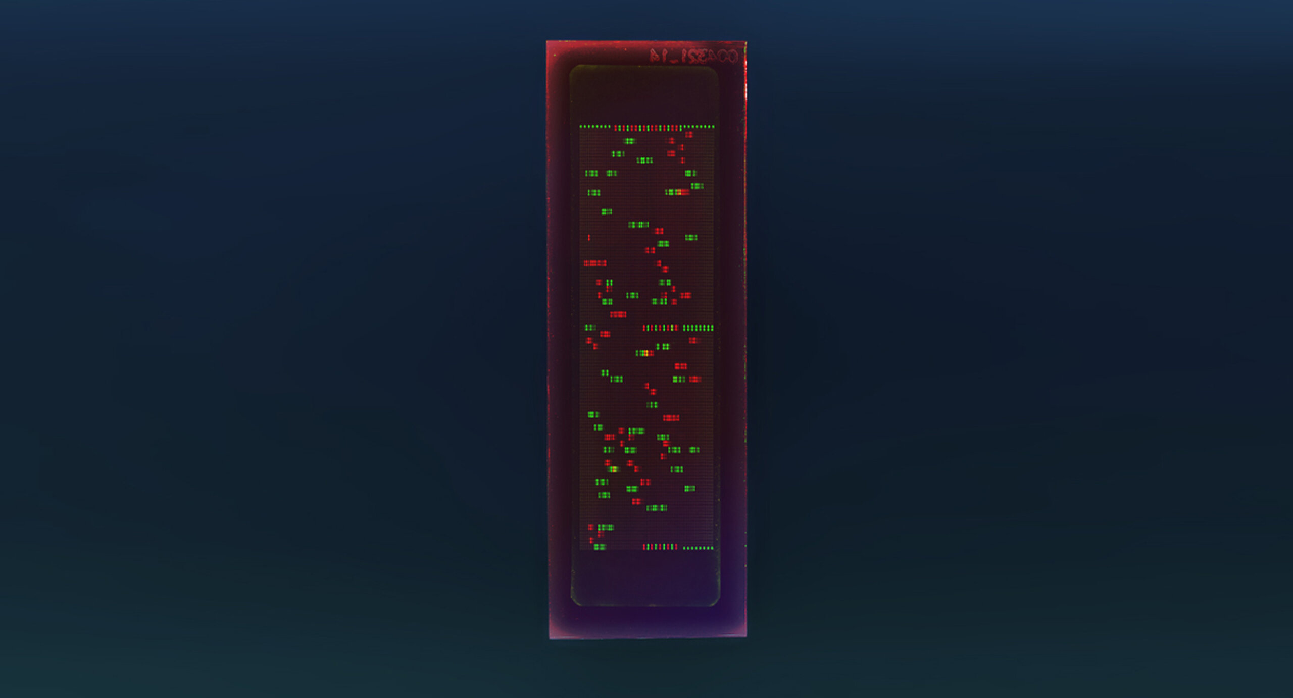 PEPperCHIP® Transglutaminase Peptide Microarray