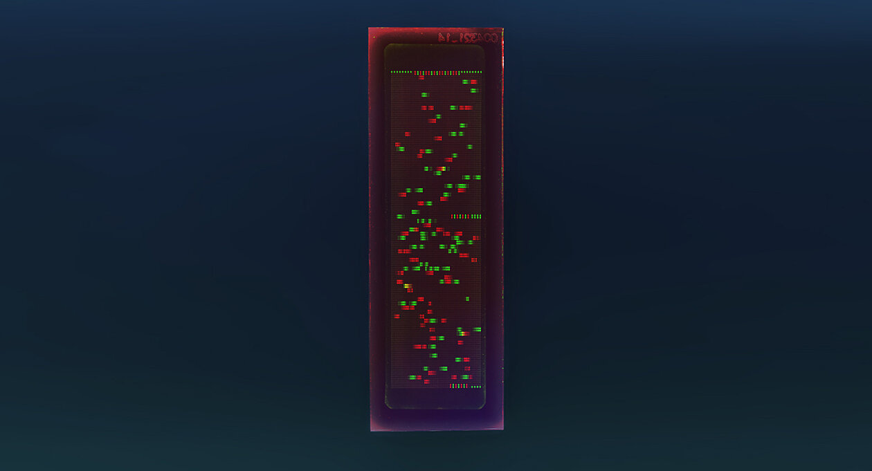 PEPperCHIP® Hepatitis B Virus Proteome Microarray