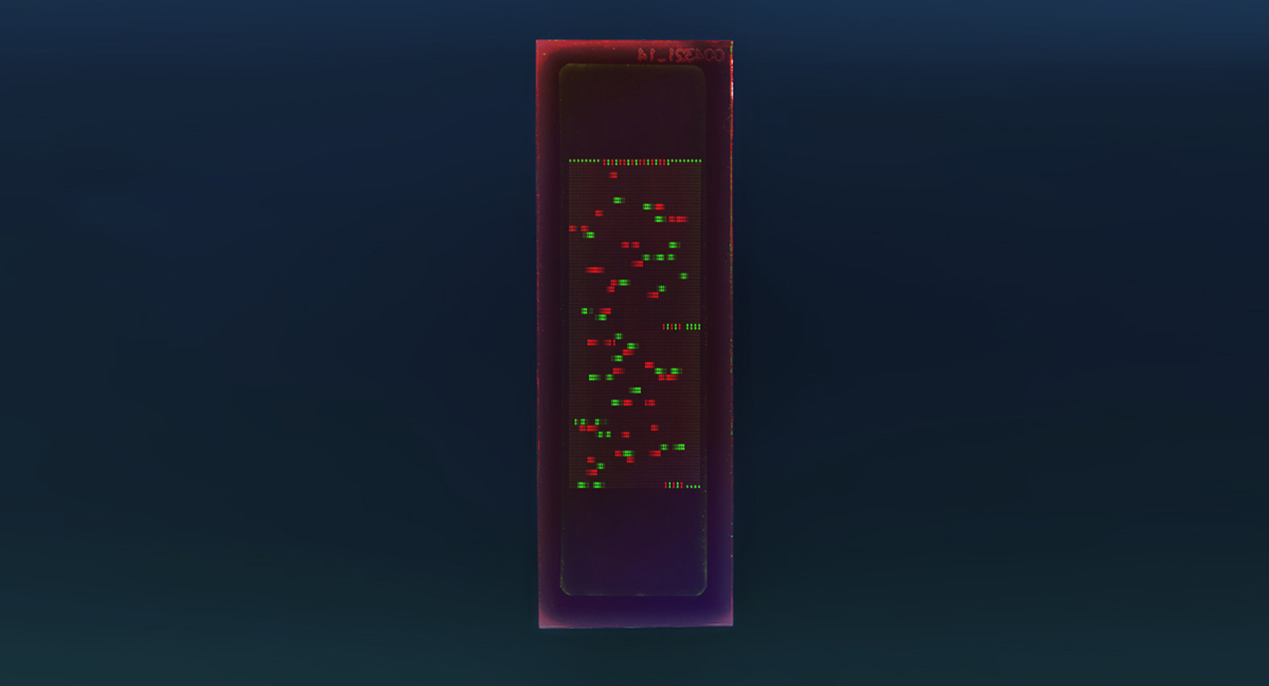 PEPperCHIP® West Nile Virus Proteome Microarray