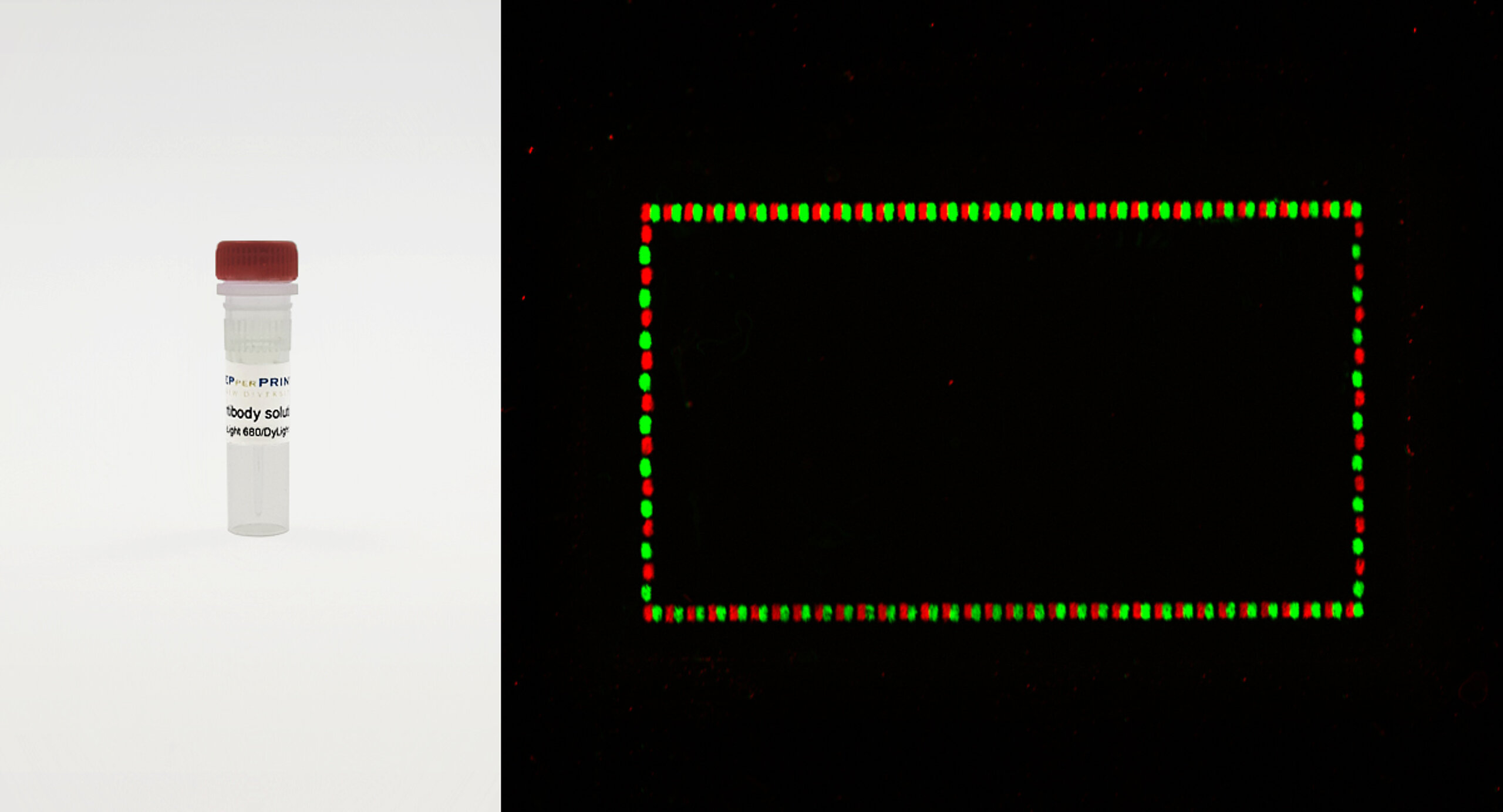 PEPperCHIP® Mouse Monoclonal anti-HA DyLight Control Antibody