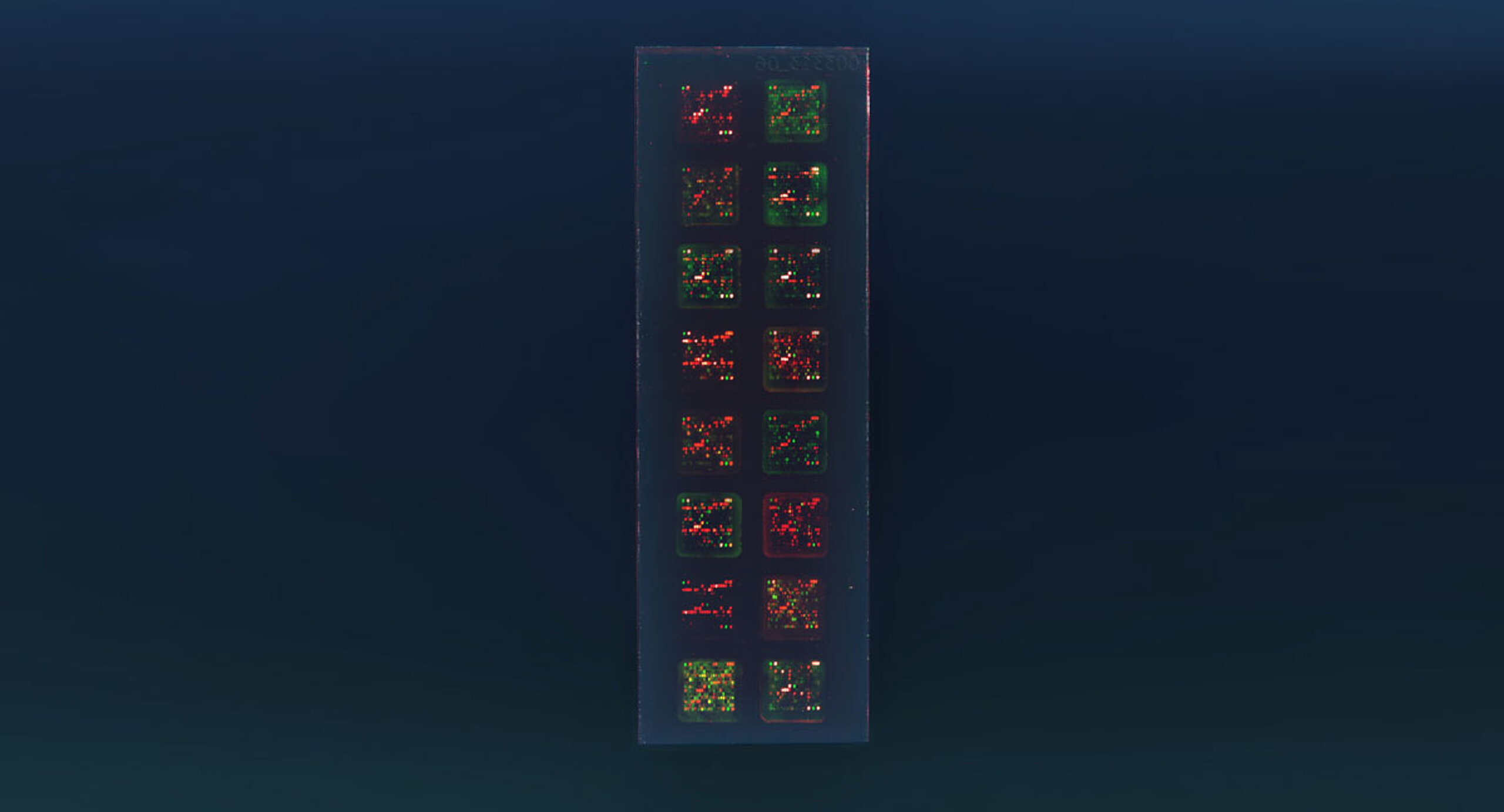 PEPperCHIP® Peptidoglycan Microarray PEPperCHIP® Peptidoglycan Microarray