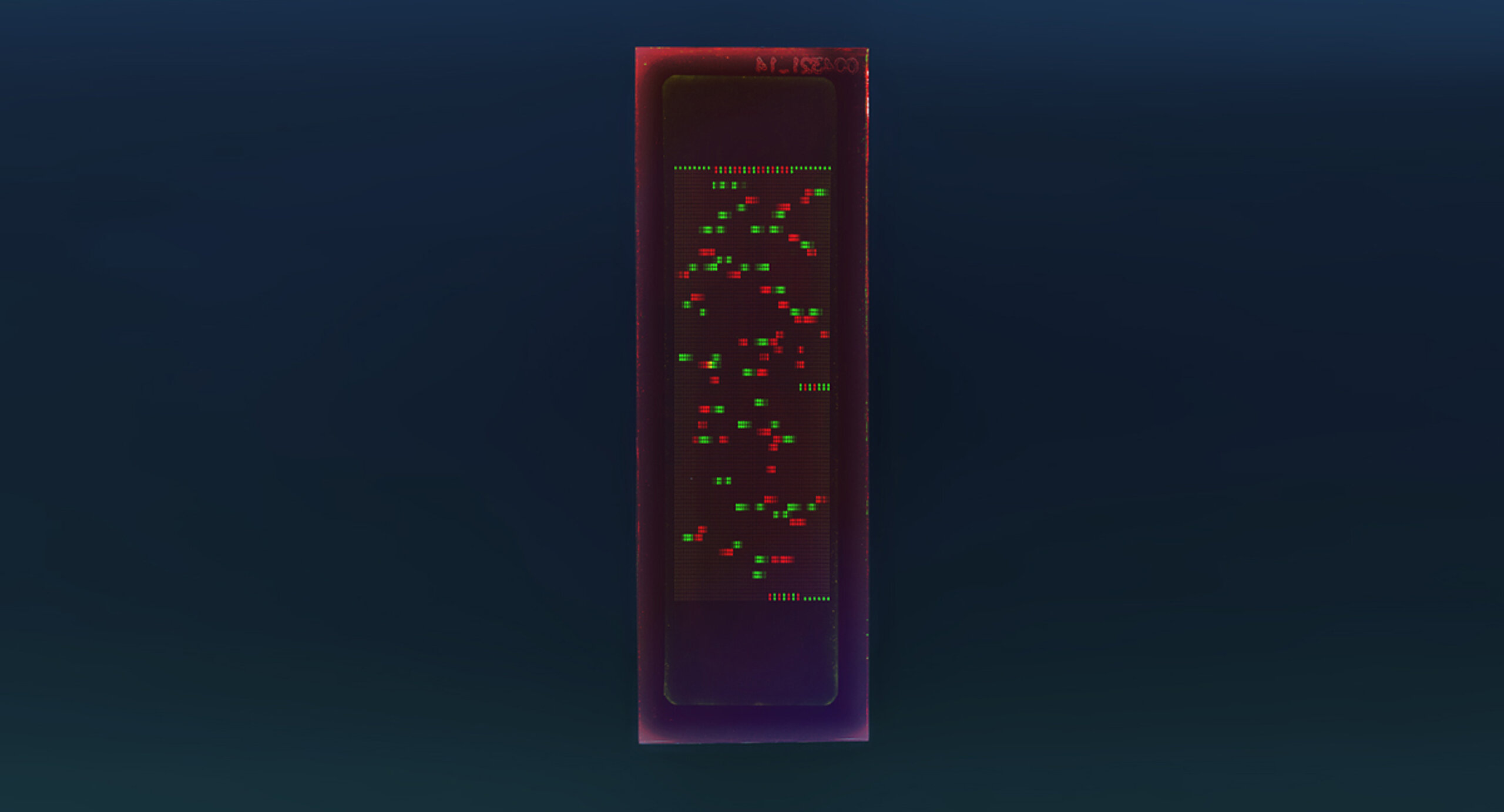 PEPperCHIP® Yellow Fever Virus Proteome Microarray