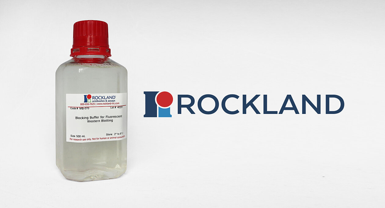 Rockland Blocking Buffer 500mL