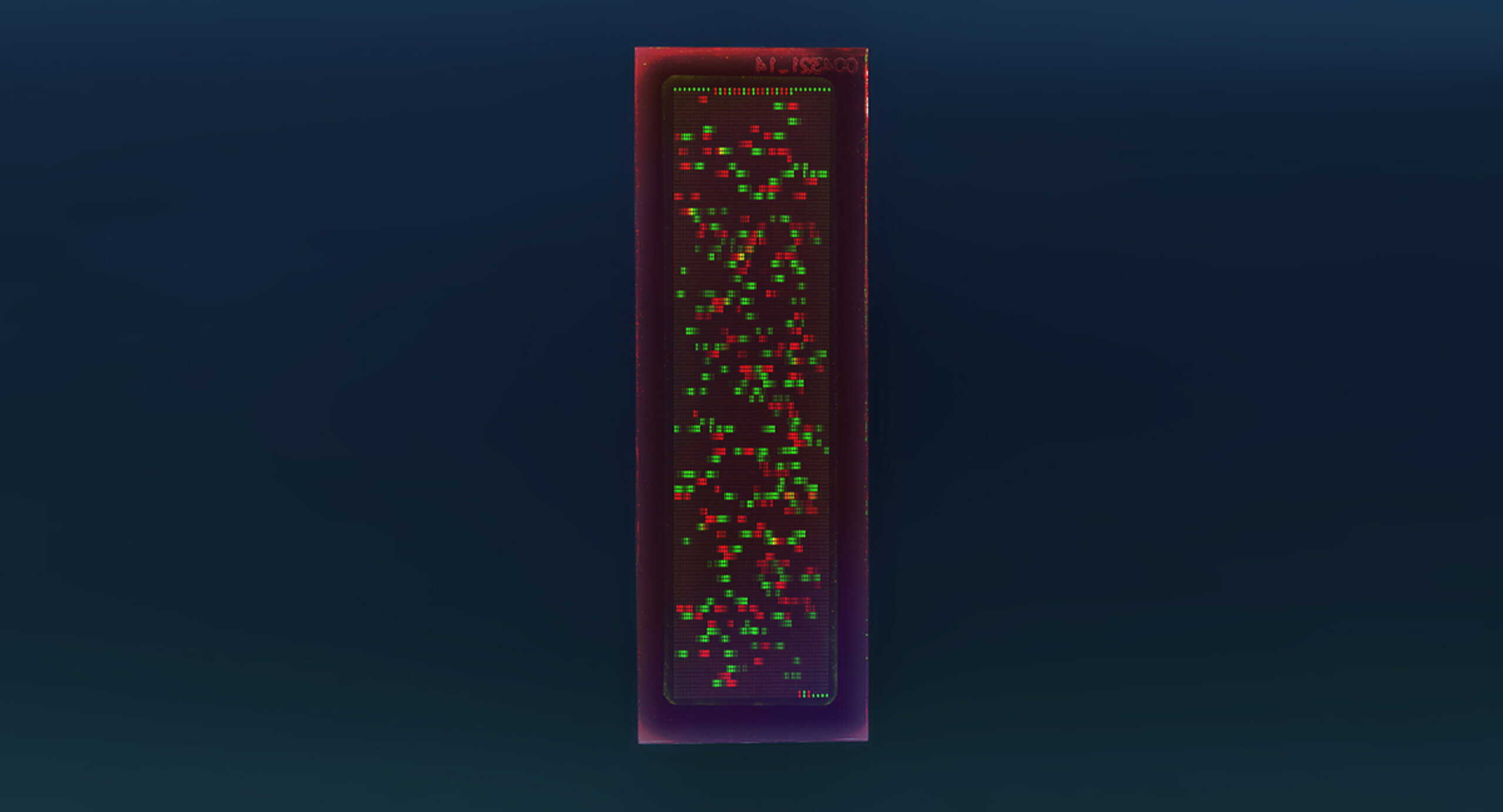 PEPperCHIP® Influenza Virus H5N1 Proteome Microarray