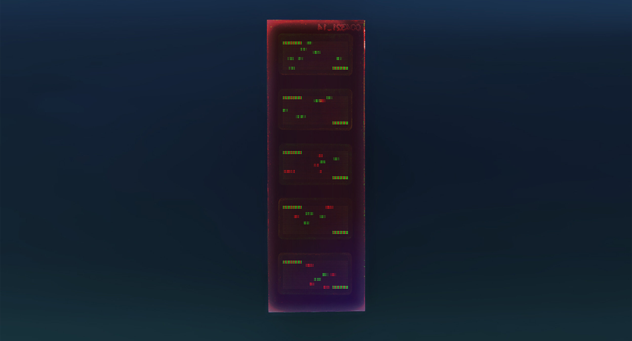 PEPperCHIP® Cyclic Citrullinated Peptide Microarray