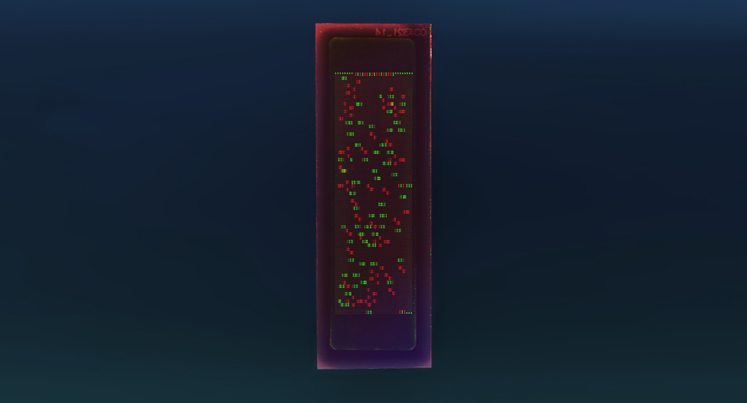 PEPperCHIP® HCMV Antigen Microarray