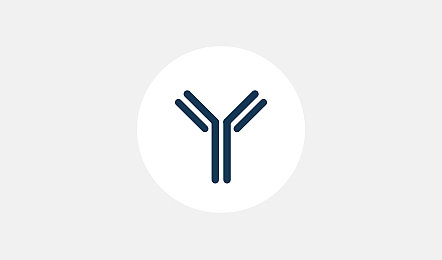 PEPperMAP® Antibody Services