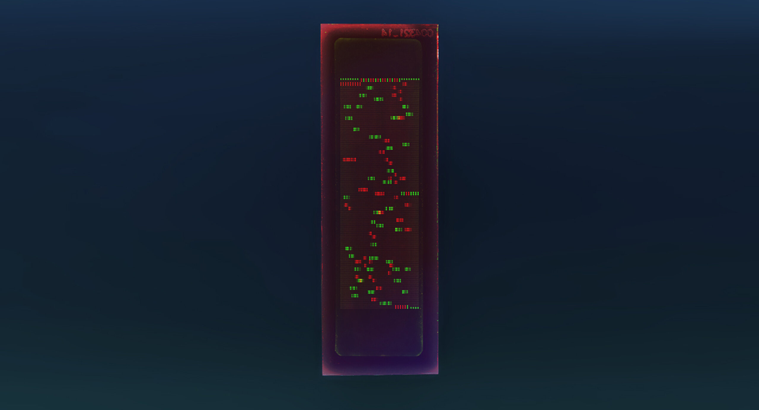 PEPperCHIP® Allergen Epitope Microarray