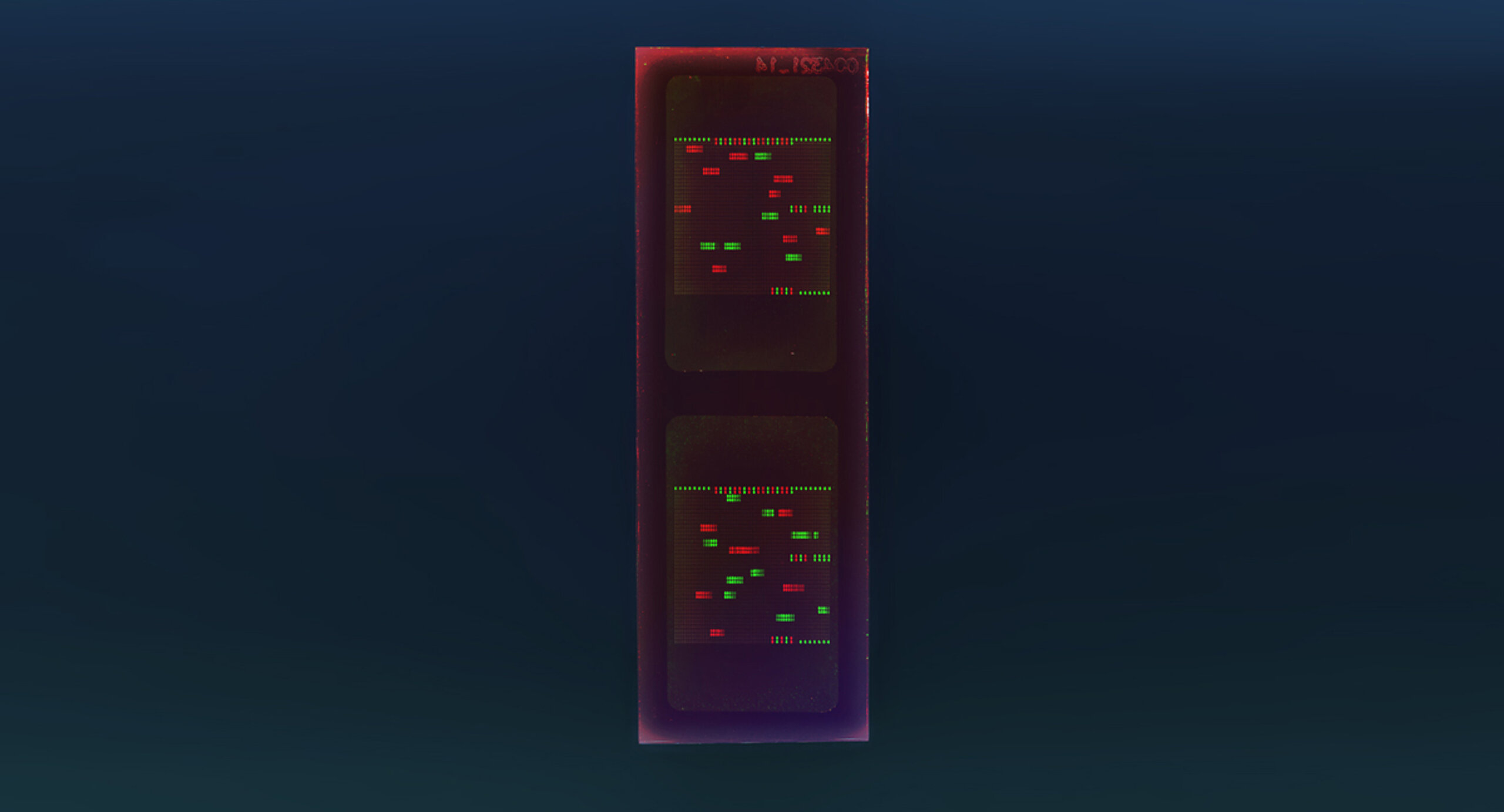 PEPperCHIP® Tetanus Toxin Microarray