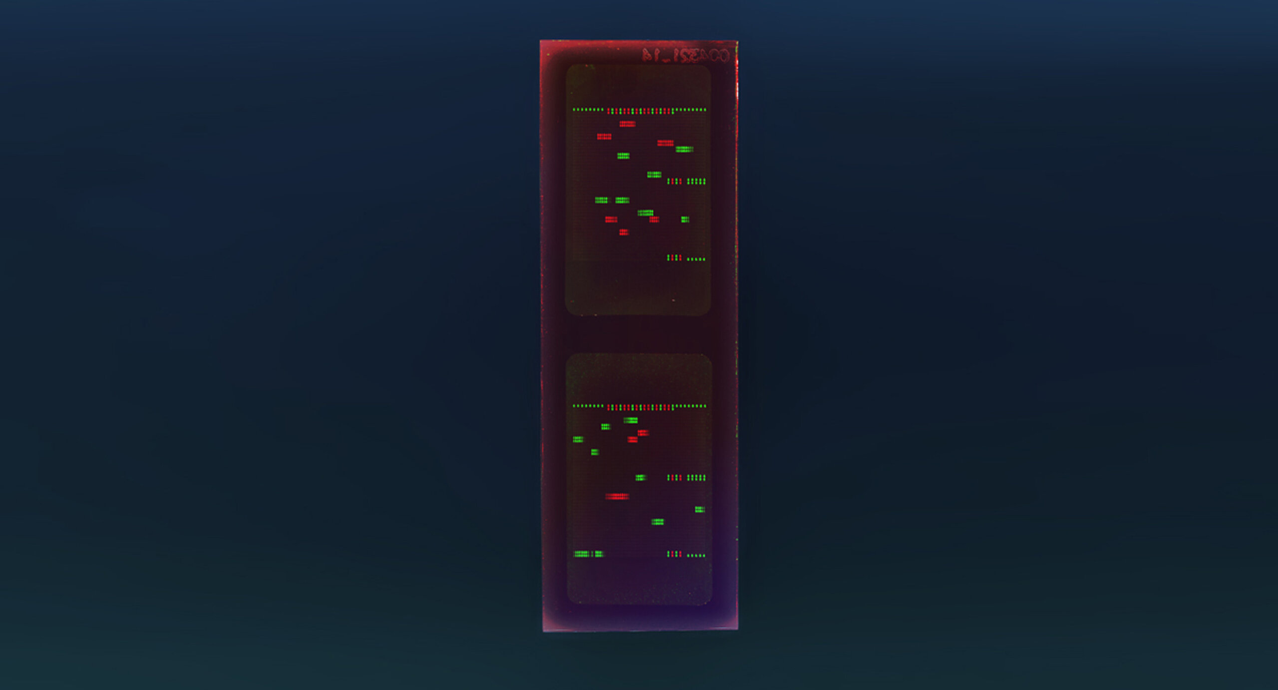 PEPperCHIP® Trypanosoma Brucei Antigen Microarray