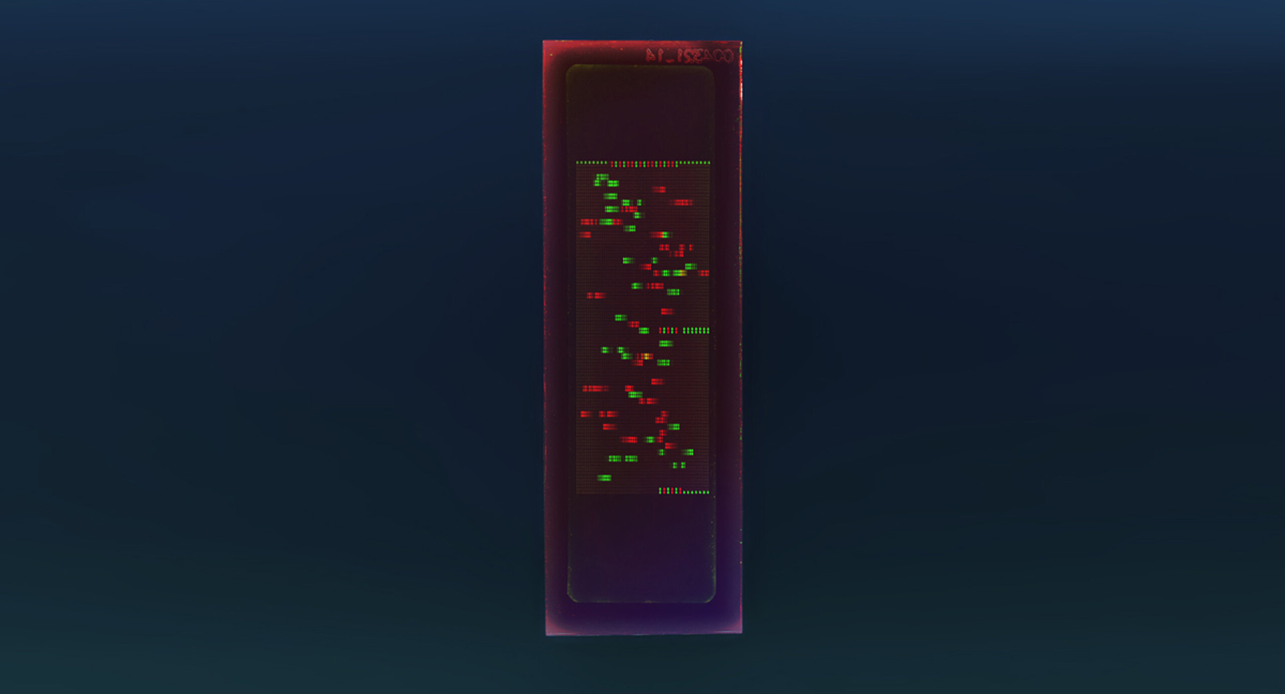 PEPperCHIP® Tick-borne Encephalitis Virus Proteome Microarray