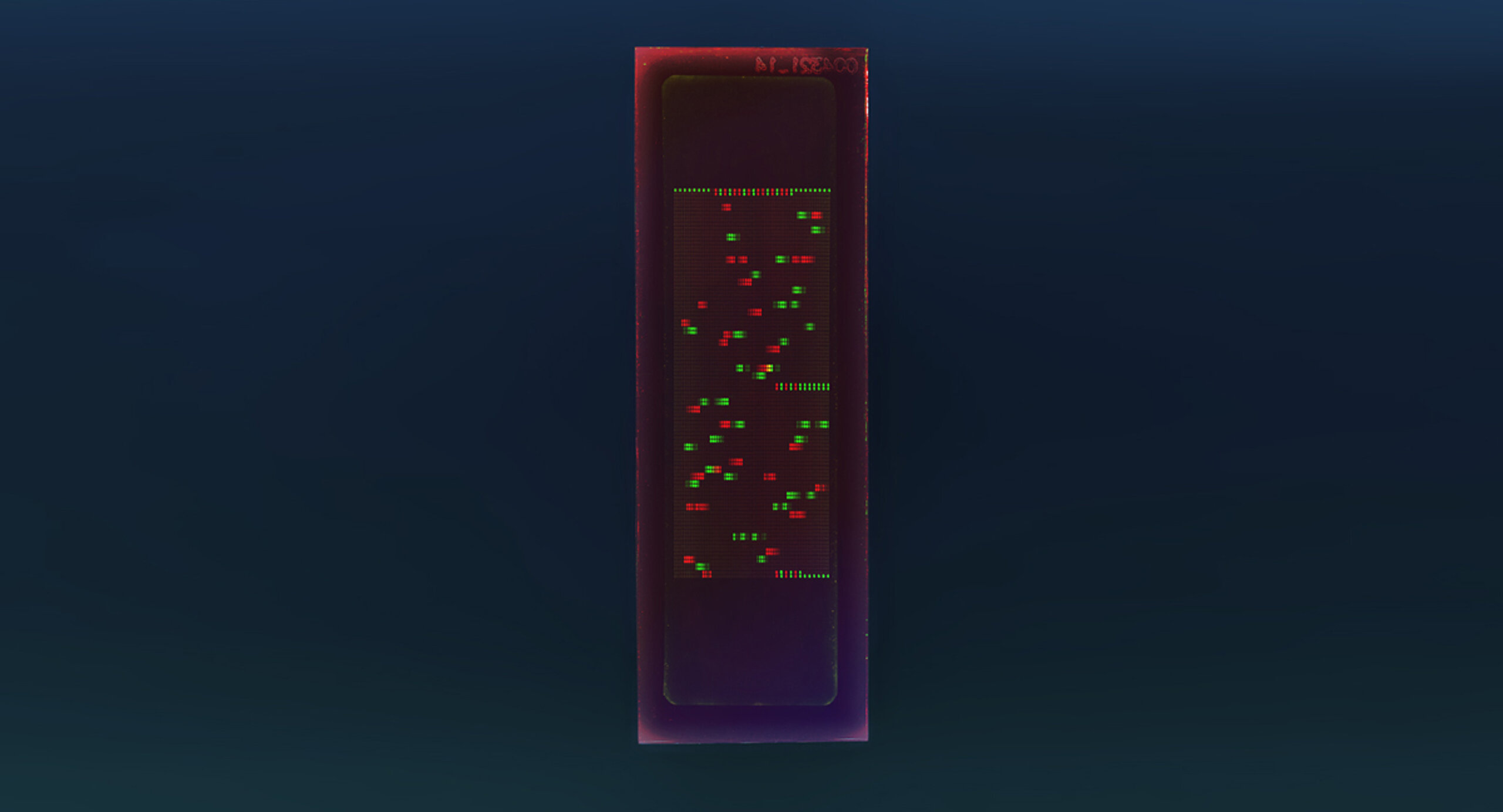 PEPperCHIP® Zika Virus Proteome Microarray