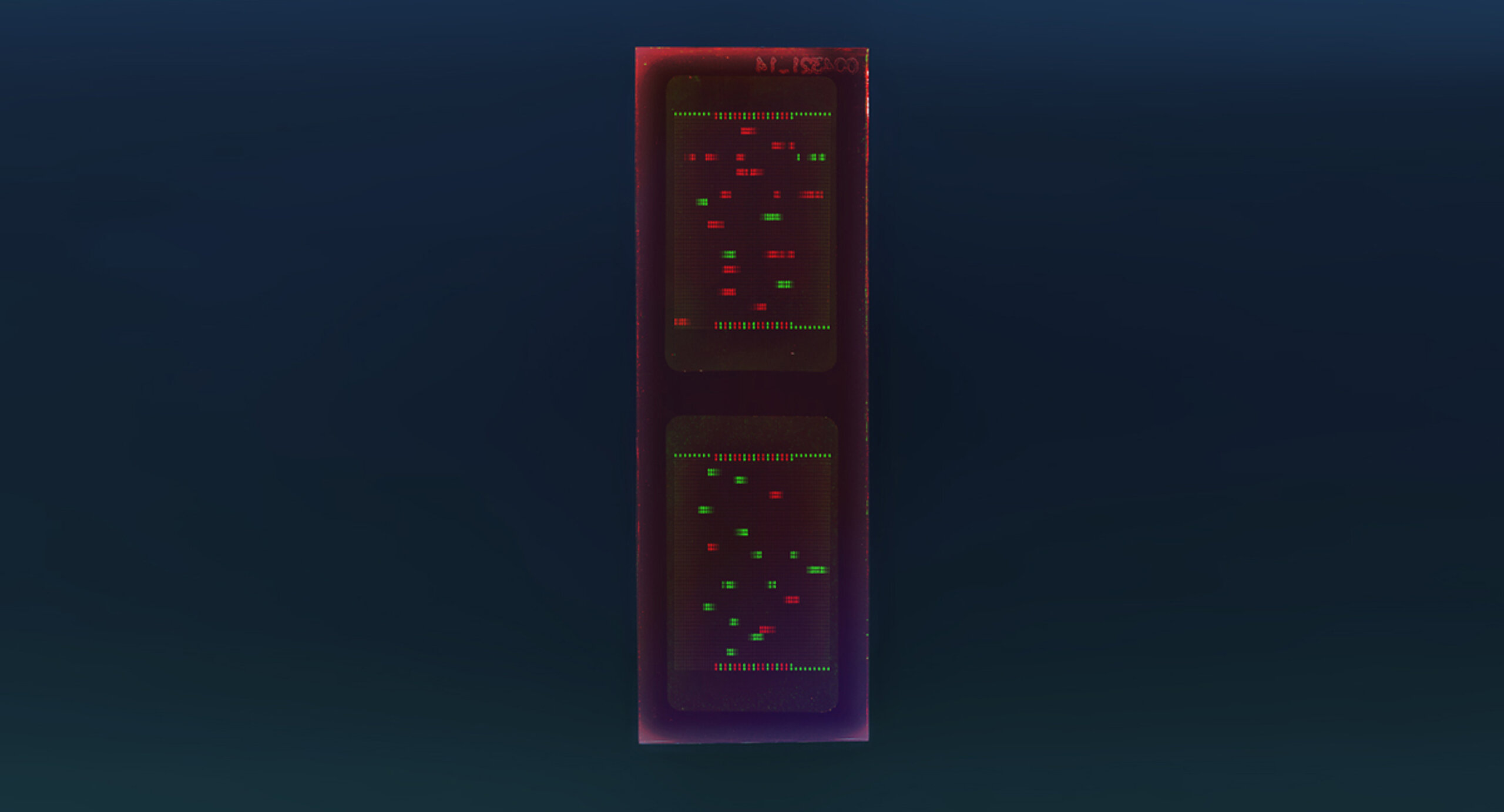 PEPperCHIP® BK Polyomavirus Antigen Microarray