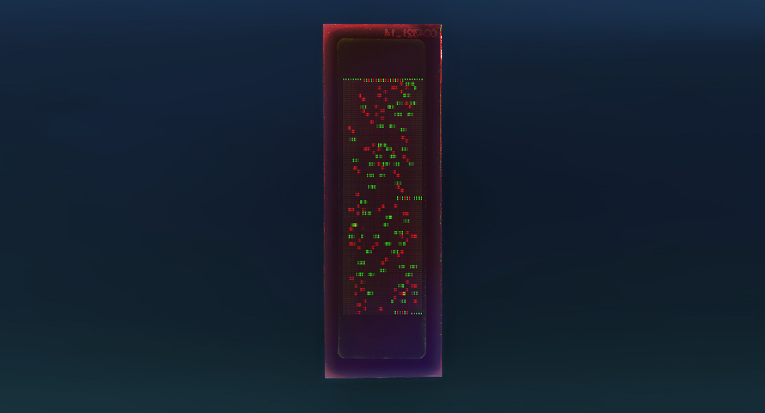 PEPperCHIP® Epstein-Barr Virus Peptide Microarray