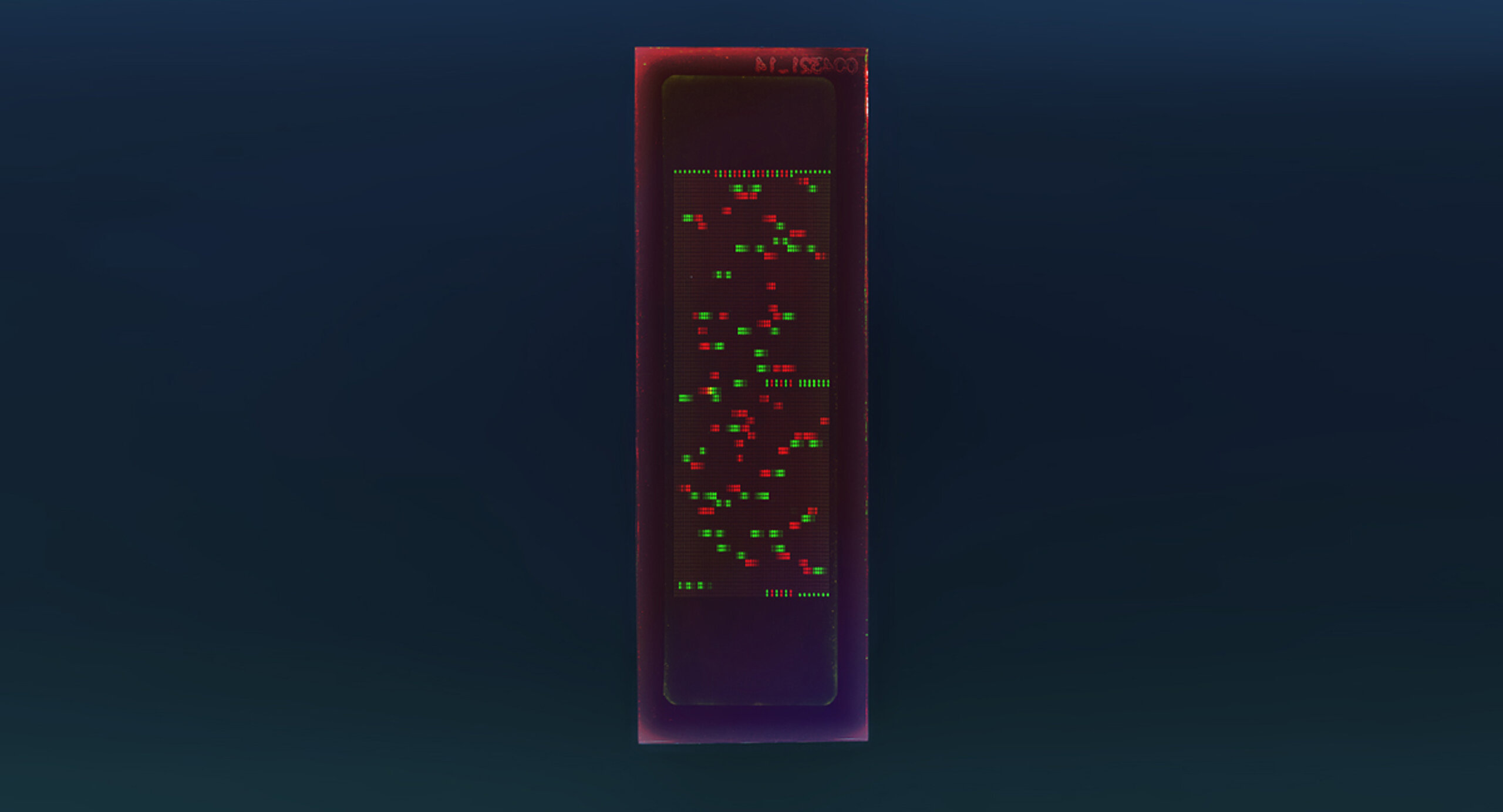 PEPperCHIP® Mycobacterium Tuberculosis Antigen Microarray