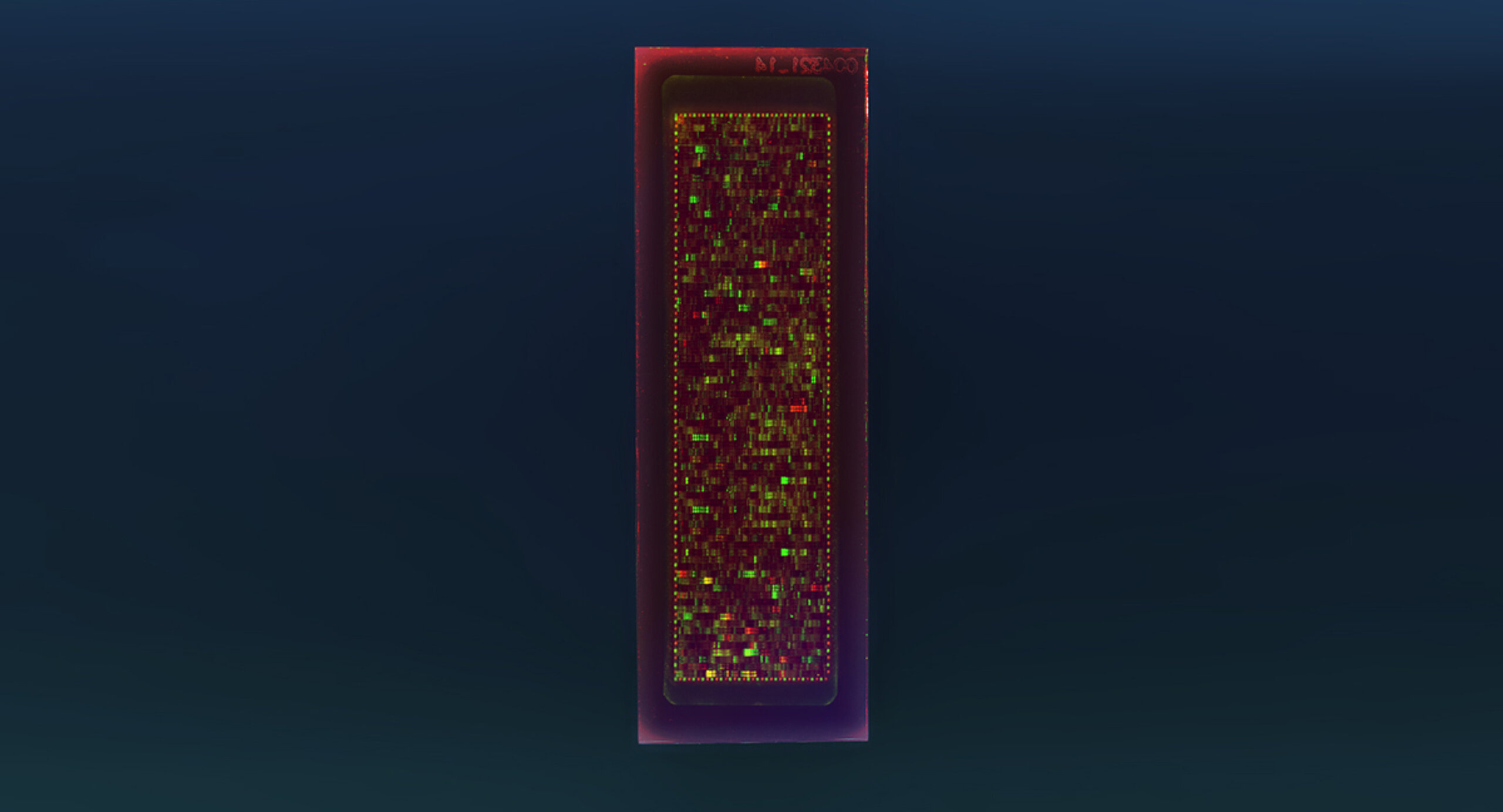 PEPperCHIP® Pan-AAV Capsid Protein Microarray