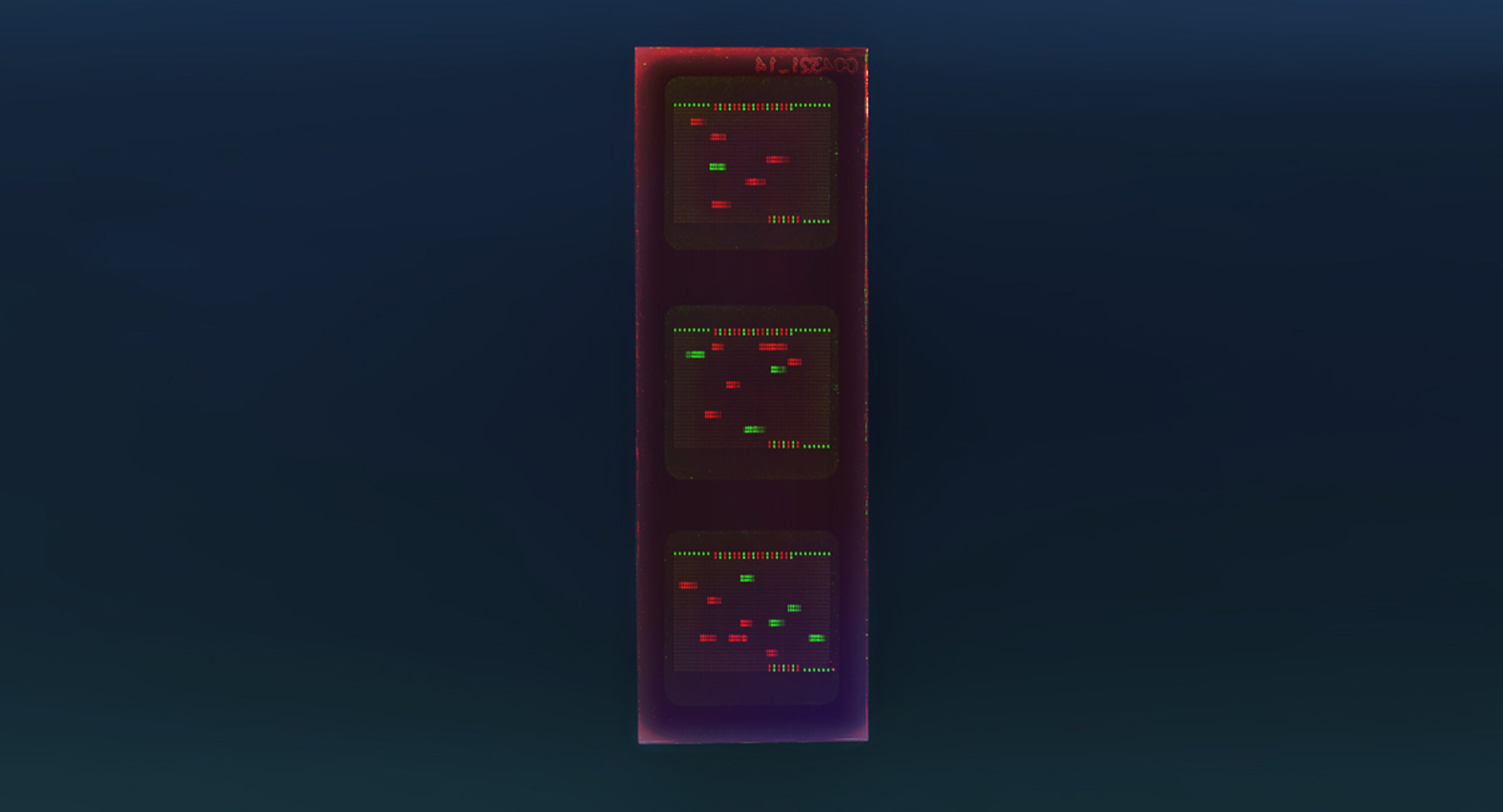 PEPperCHIP® SARS-CoV Antigen Microarray