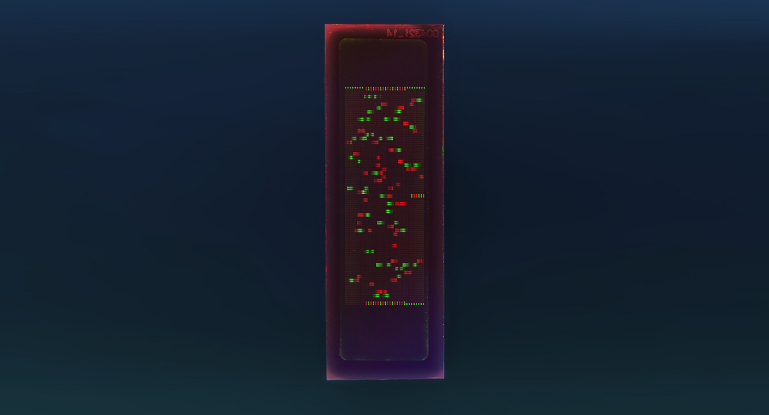 PEPperCHIP® Chikungunya Virus Microarray