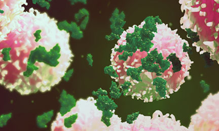 A 3D depiction of lymphocytes interacting with proteins and anti-drug antibodies