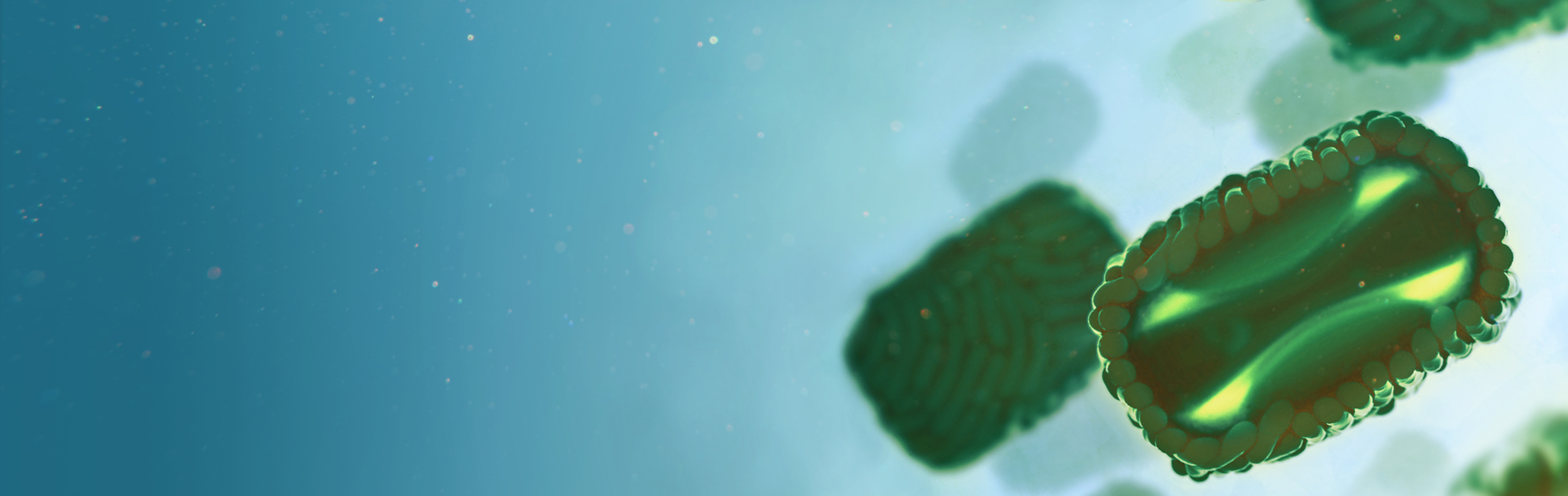PEPperCHIP® Monkeypox Virus Peptide Microarray