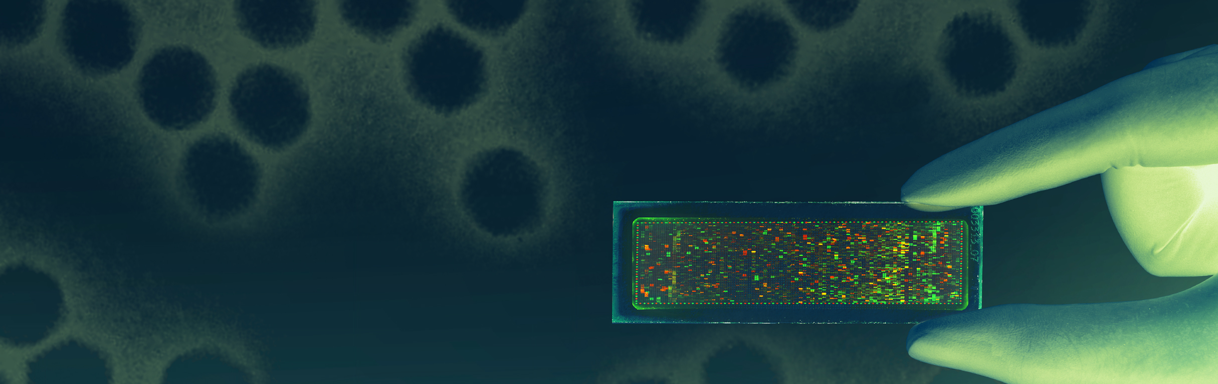 PEPperCHIP® Pan-AAV Capsid Protein Microarray
