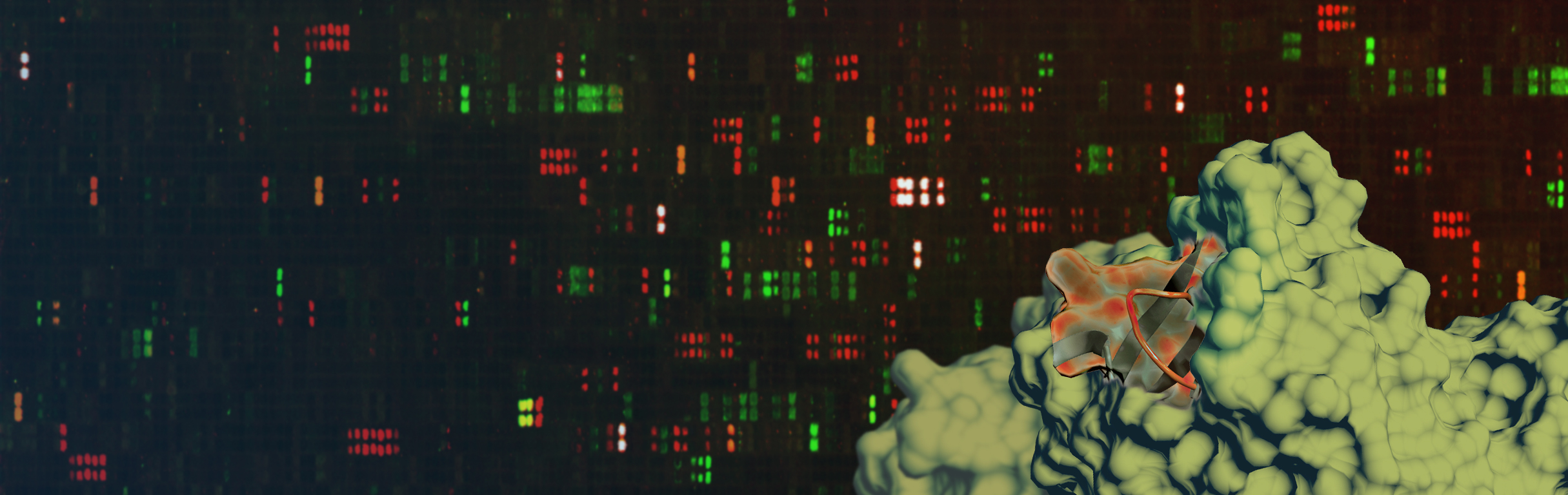 PEPperMAP® Protein Services: Protein/Peptide-Peptide Interaction and Target Binder Analysis