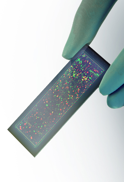 PEPperCHIP® Peptide Microarrays by PEPperPRINT PEPperCHIP® Peptide Microarrays by PEPperPRINT