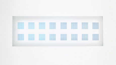 PEPperCHIP® Peptidoglycan Microarray PEPperCHIP® Peptidoglycan Microarray