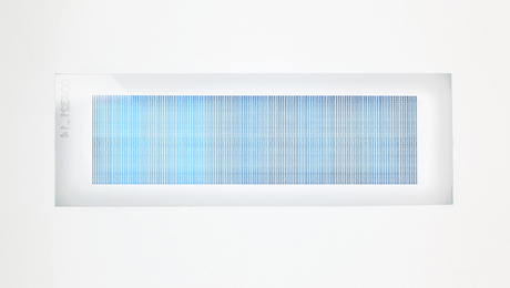 PEPperCHIP® Human Cytokine Microarray