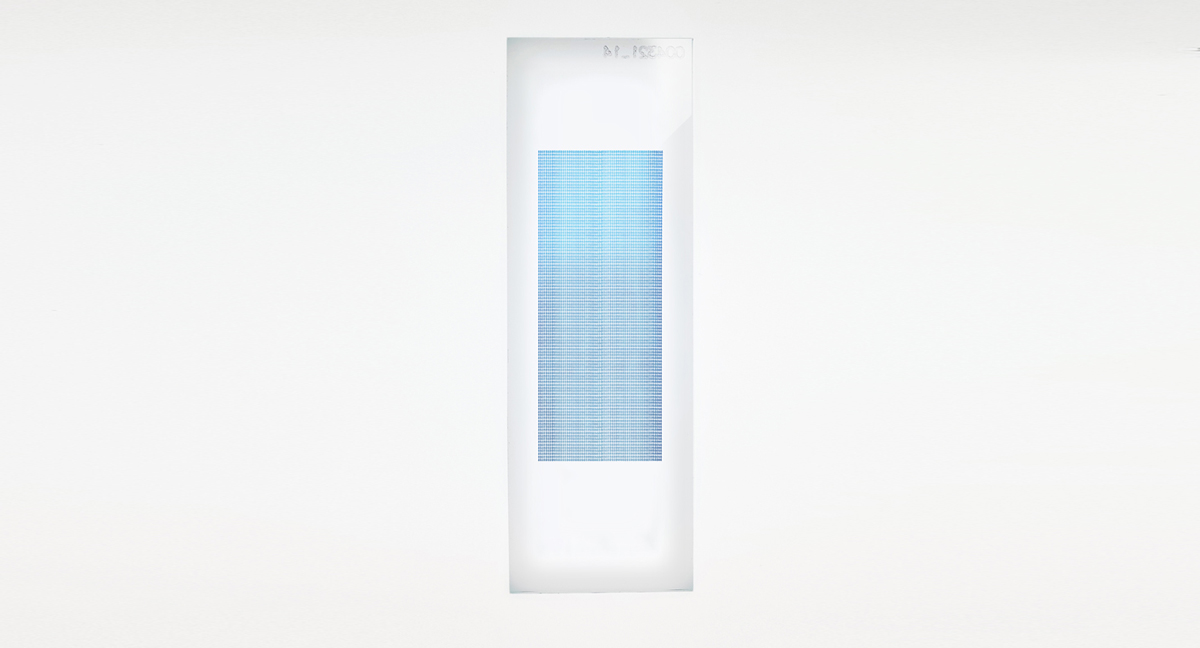 PEPperCHIP® Japanese Encephalitis Virus Proteome Microarray