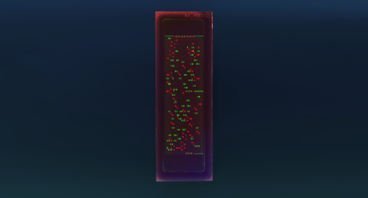 PEPperCHIP® Autoimmune Epitope Microarray