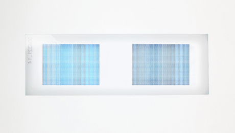 PEPperCHIP® BK Polyomavirus Antigen Microarray