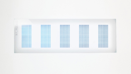 PEPperCHIP® Cyclic Citrullinated Peptide Microarray
