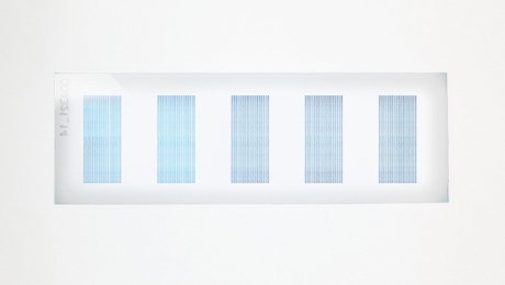 PEPperCHIP® Cyclic Citrullinated Peptide Microarray