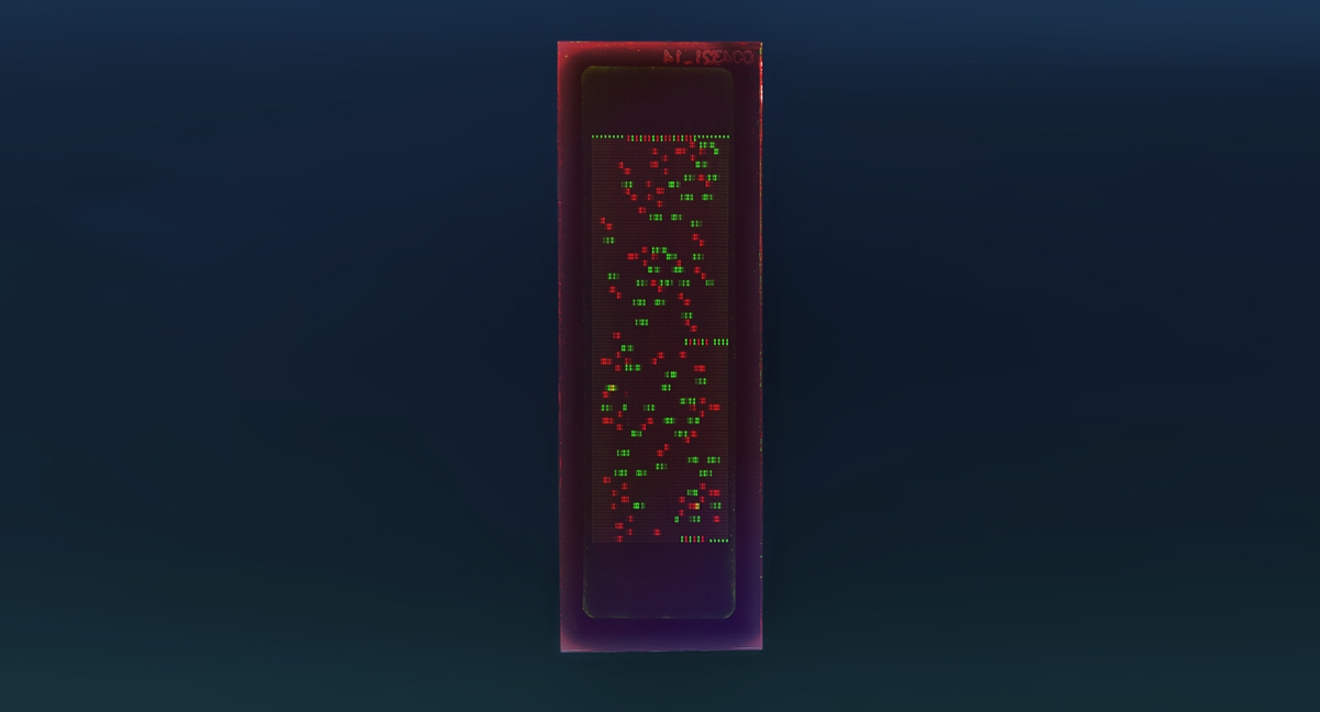 PEPperCHIP® Epstein-Barr Virus Peptide Microarray